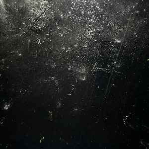 用户发起投诉