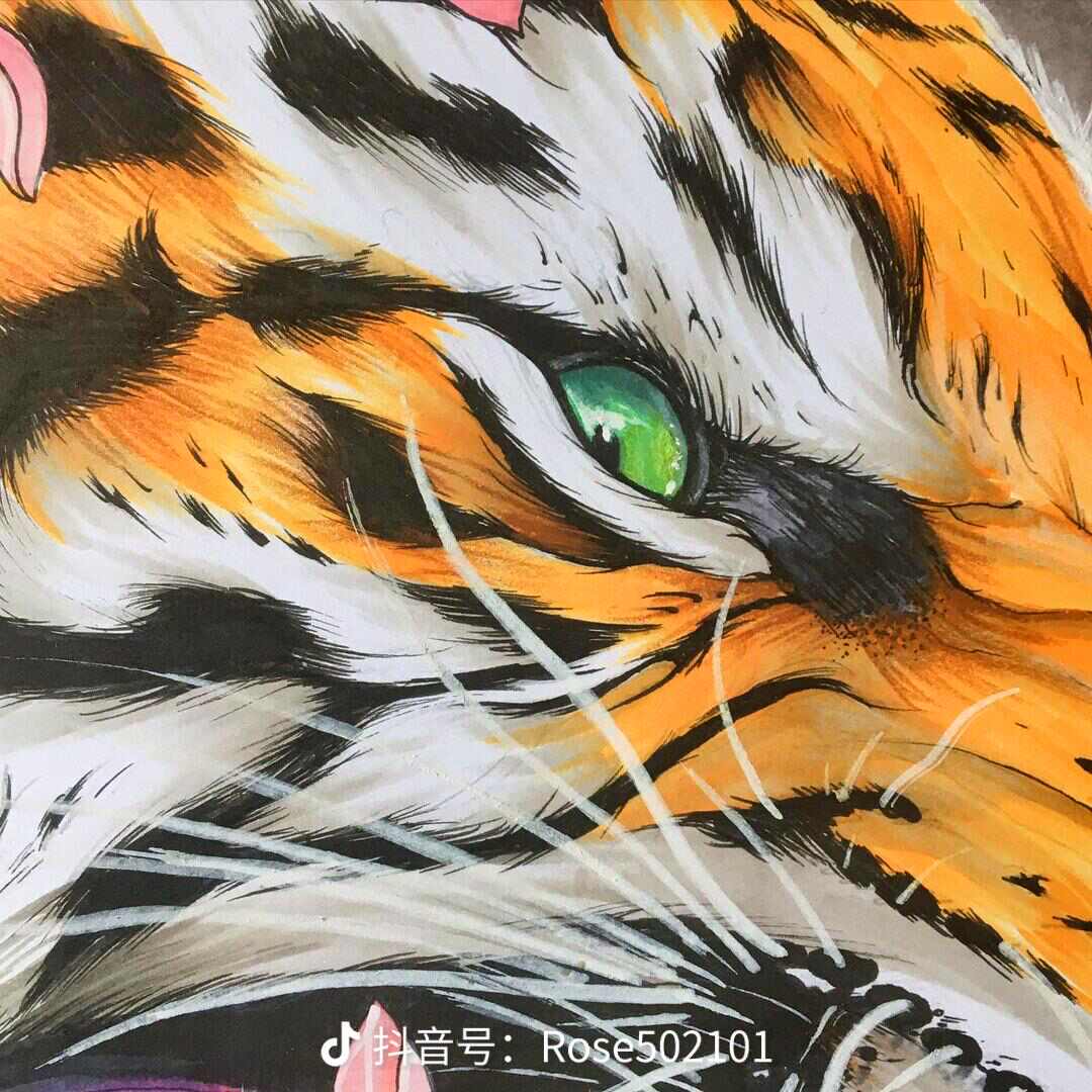 用户发起投诉