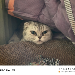用户发起投诉