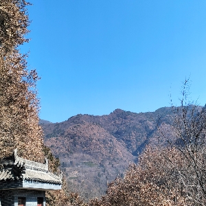 用户发起投诉
