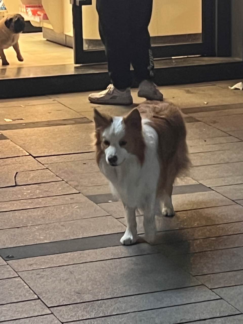 用户发起投诉