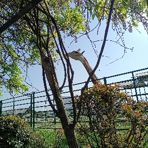 用户评价