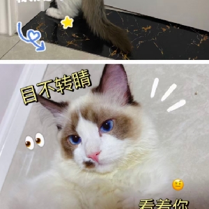 用户发起投诉