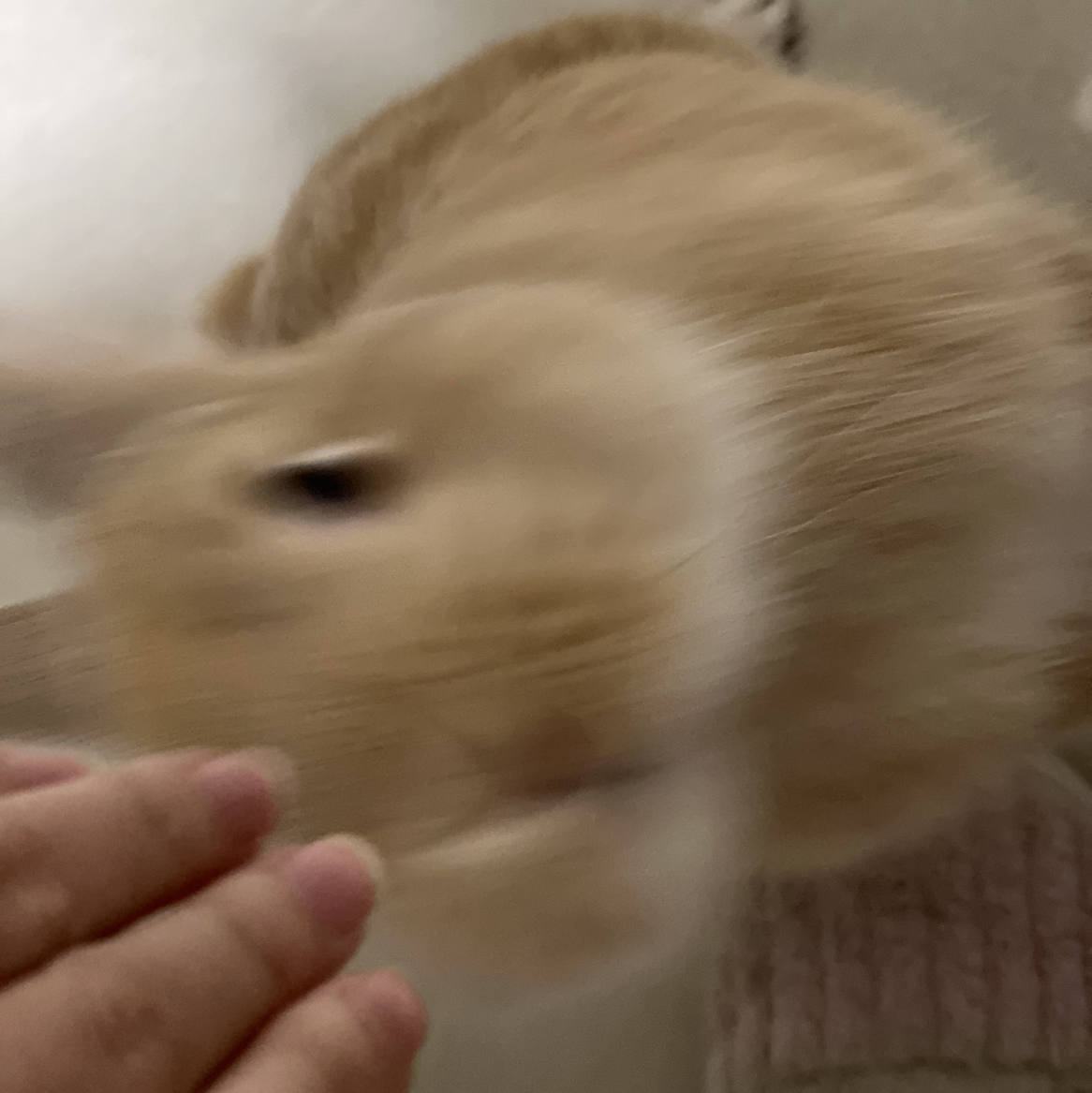 用户评价