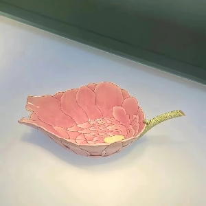 用户发起投诉