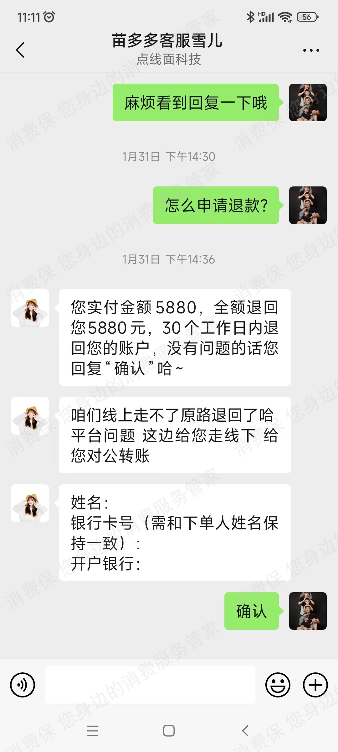 苗多多退款纠纷