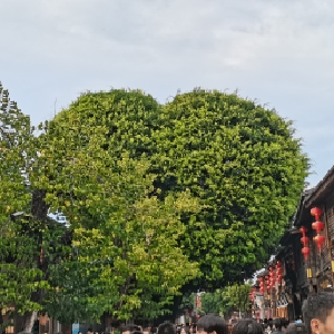 用户评价
