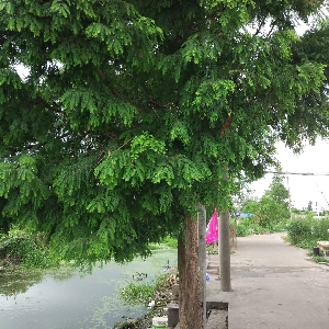 用户发起投诉