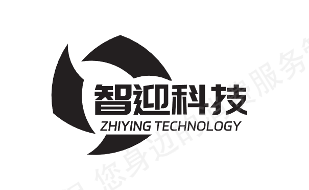 智迎电商网络