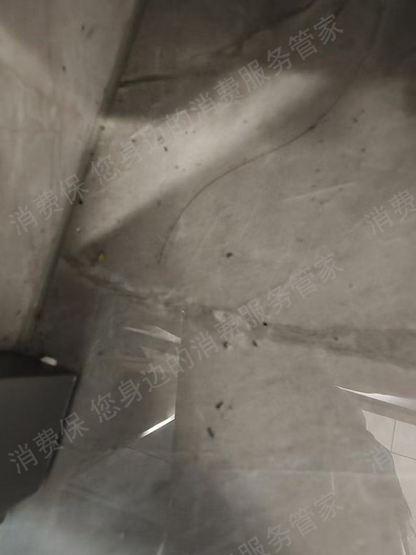 科沃斯天猫店虚假宣传