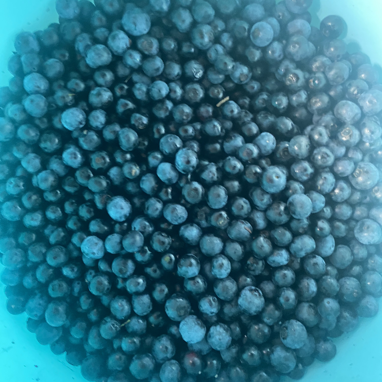 用户发起投诉