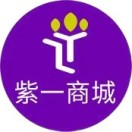 紫一商城