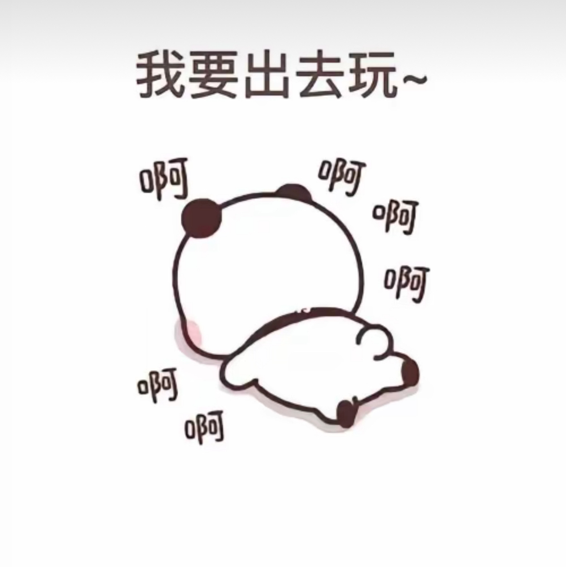 用户评价