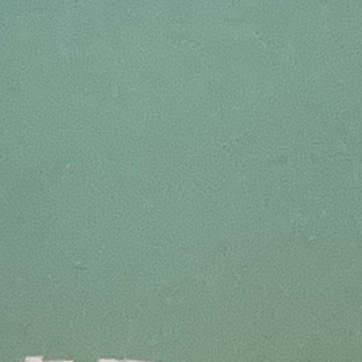 用户发起投诉