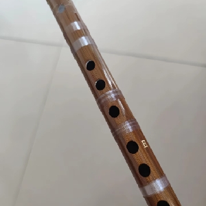 用户发起投诉