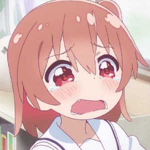用户评价