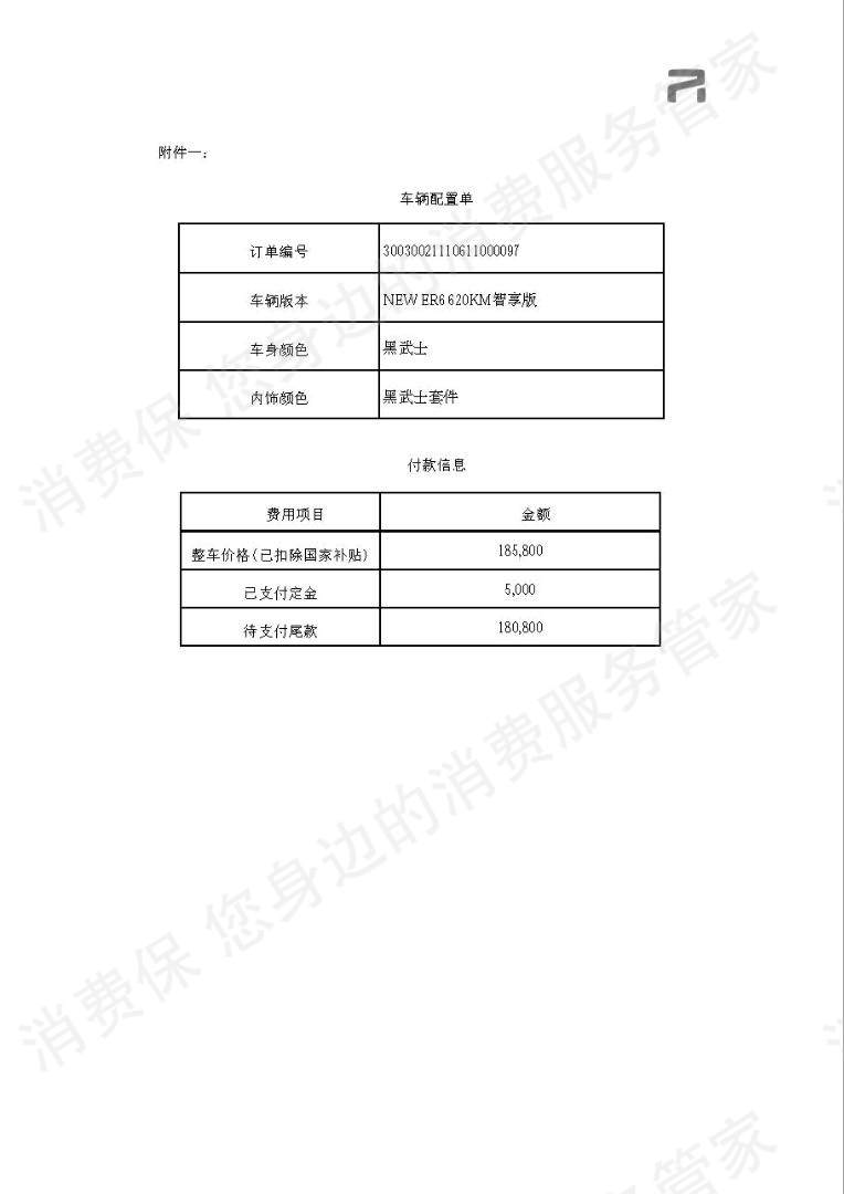飞凡汽车充电/电池问题