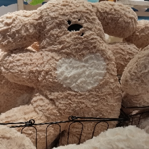 用户发起投诉