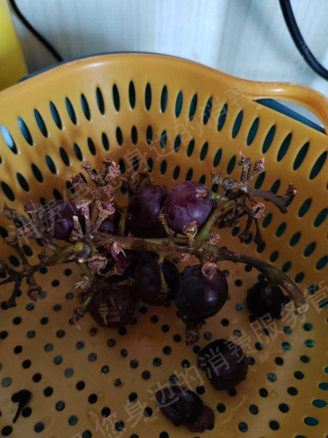 叮咚买菜商品丢失/损坏