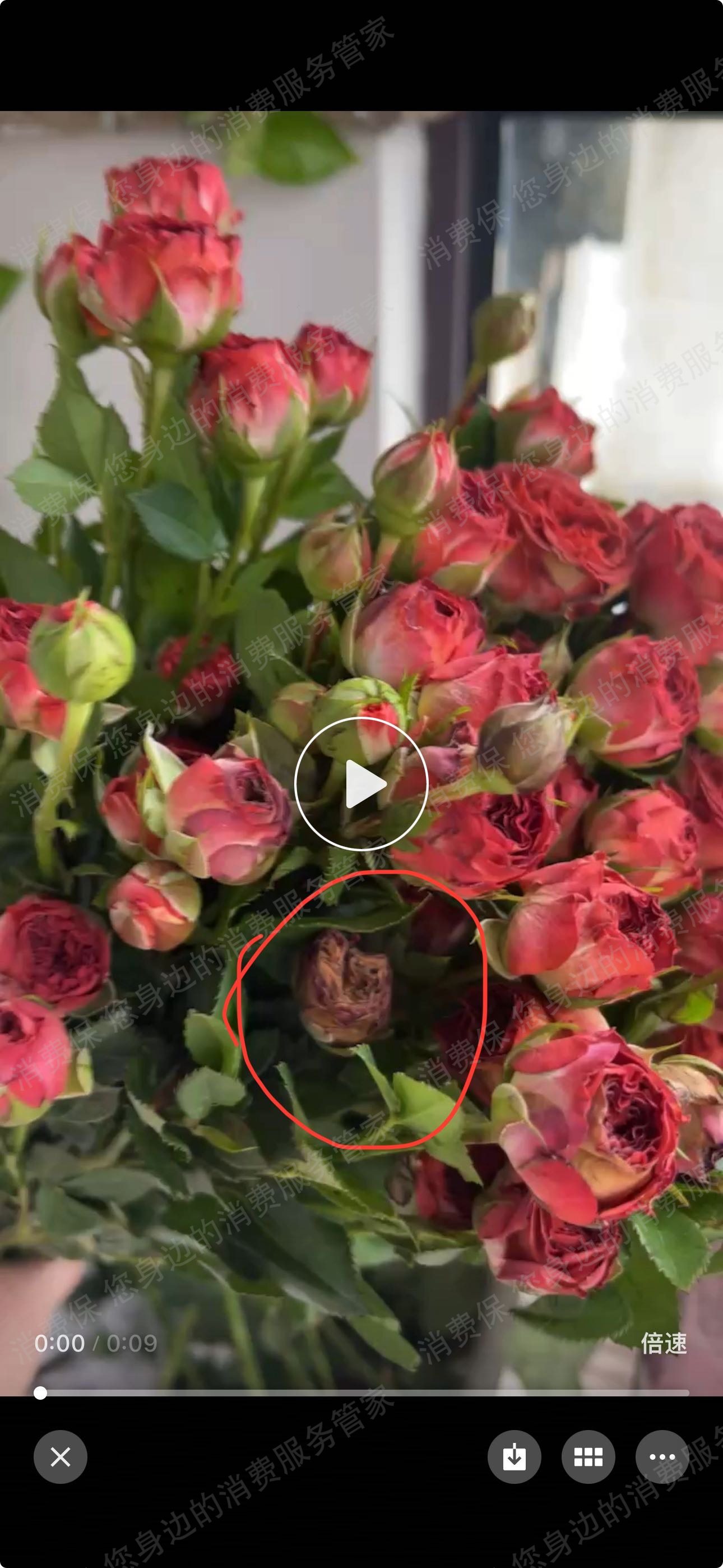 花加鲜花售后服务欠缺