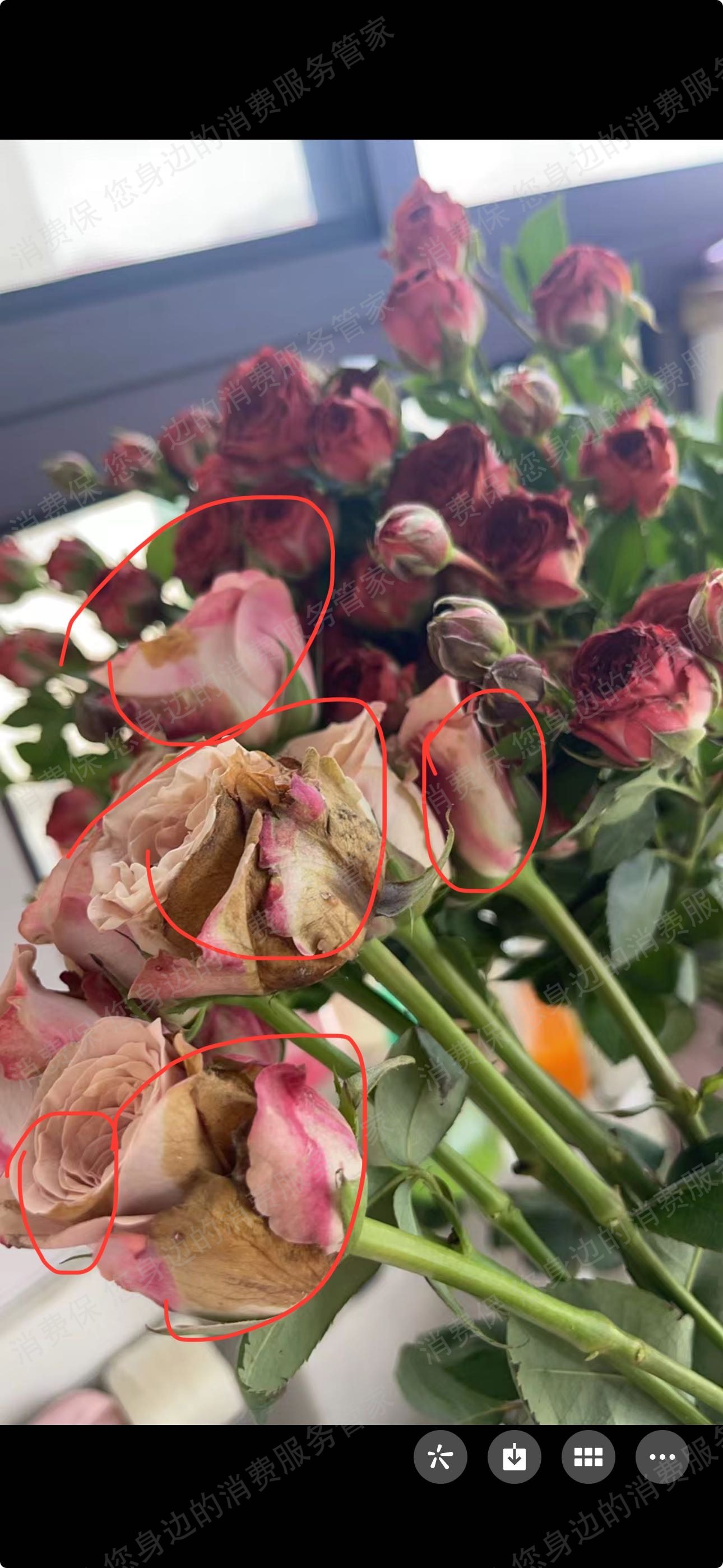 花加鲜花虚假宣传