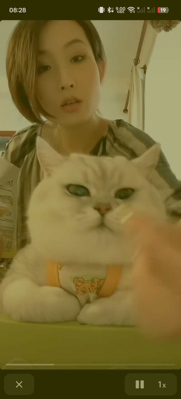 用户发起投诉