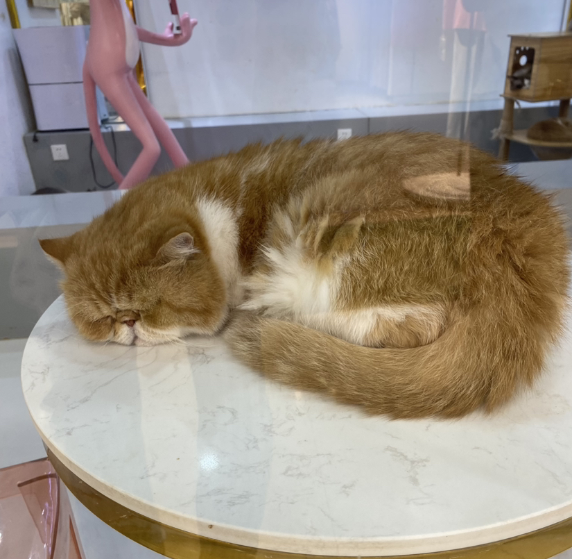 用户评价
