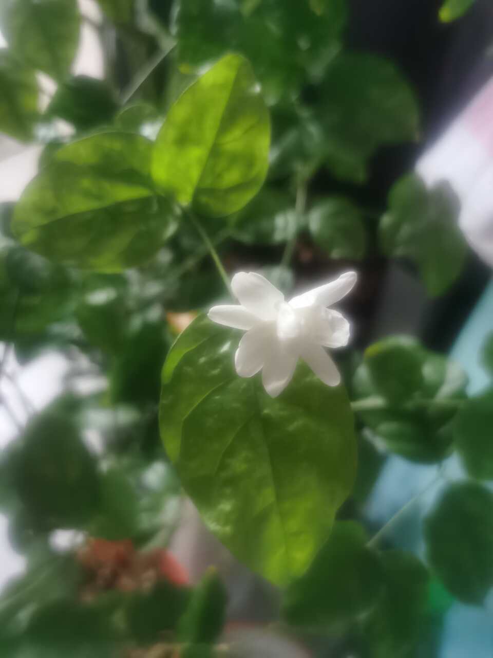 用户发起投诉
