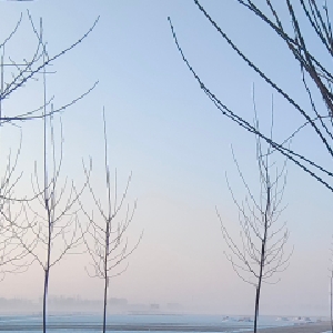 用户发起投诉