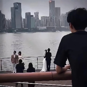 用户评价