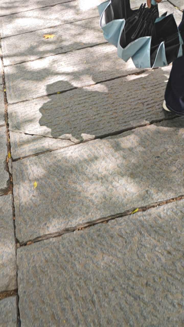 用户发起投诉