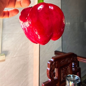 用户申请完结