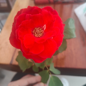 用户发起投诉
