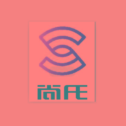 尚氏（广东）大数据