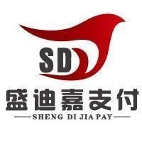 盛迪嘉支付