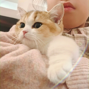 用户补充投诉