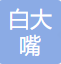 北京白大嘴教育科技有限公司