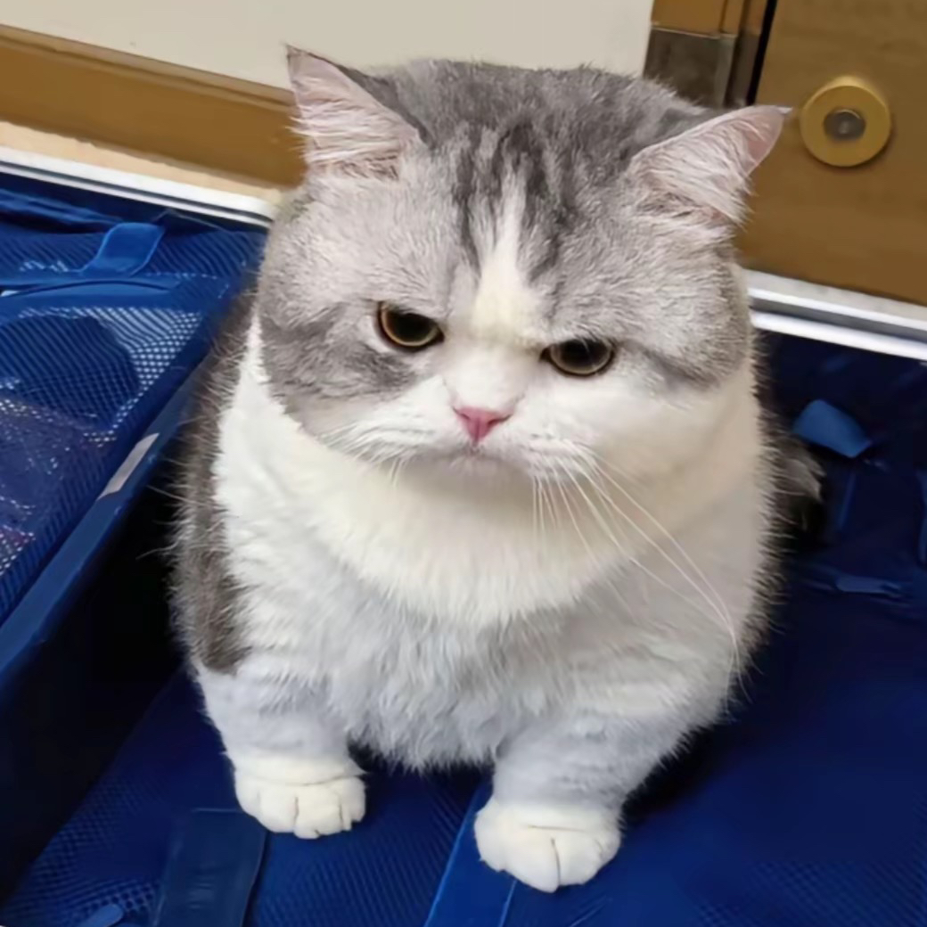 用户评价