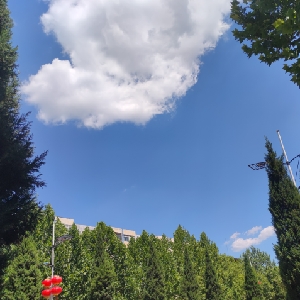 用户评价