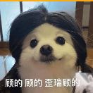 用户发起投诉