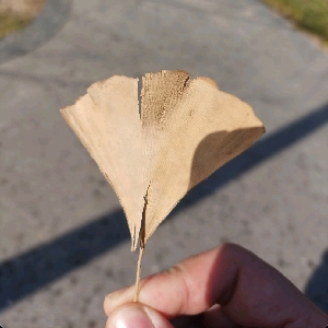 用户发起投诉