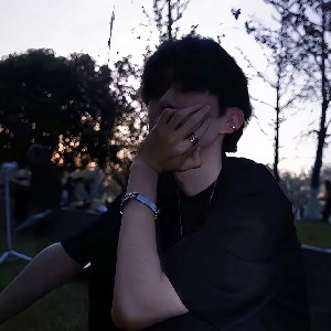 用户评价