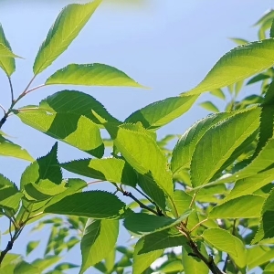用户申请完结