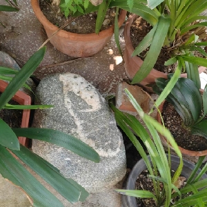 用户发起投诉