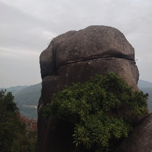 用户补充投诉