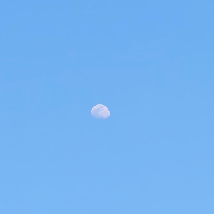 用户评价