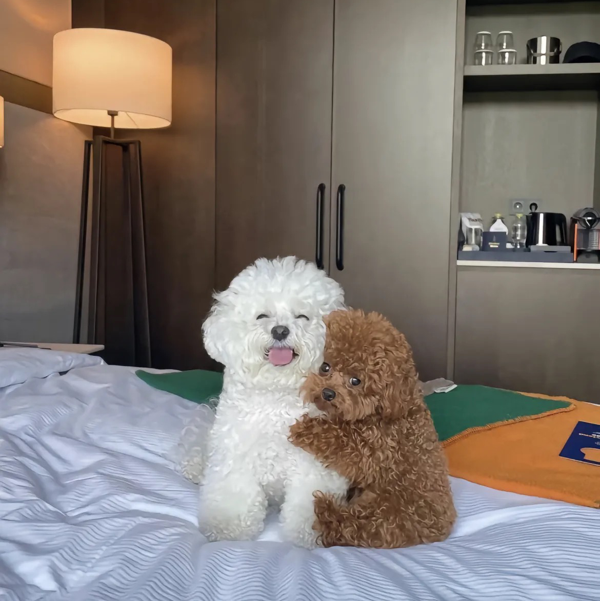 用户发起投诉