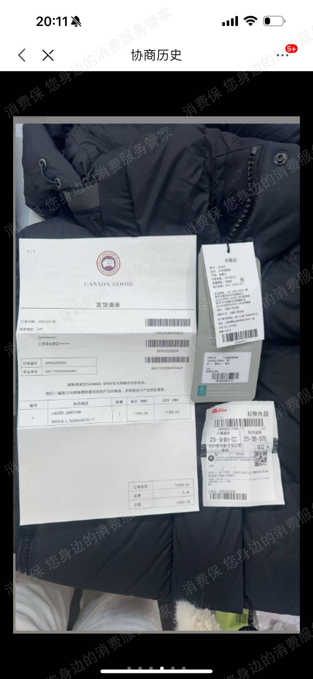 加拿大鹅态度恶劣