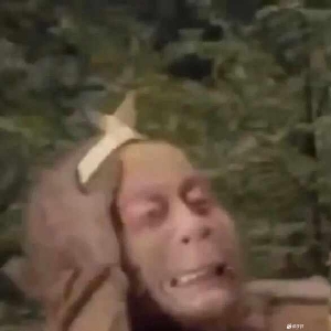 用户发起投诉