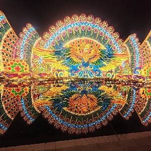 用户评价